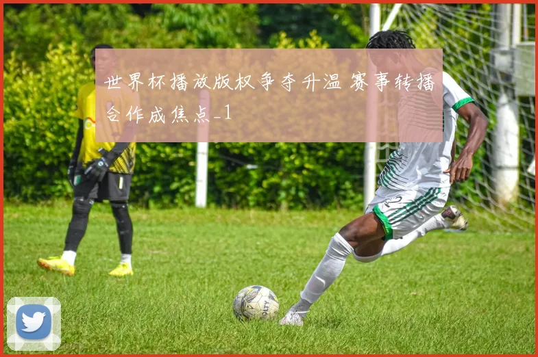 世界杯播放版权争夺升温 赛事转播合作成焦点_1
