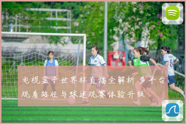 电视盒子世界杯直播全解析 多平台观看路径与球迷观赛体验升级